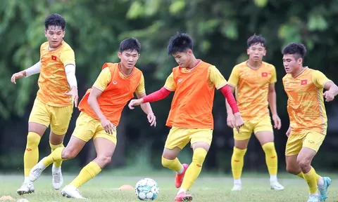 Đội tuyển U19 Việt Nam tập trung đợt 1/2024, chuẩn bị cho giải Đông Nam Á và Vòng loại châu Á