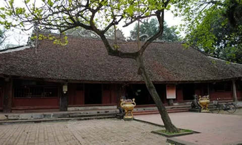 Quy hoạch bảo quản, phục hồi Di tích Đình Thổ Tang