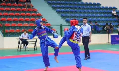 Thể thao thành tích cao Yên Bái cần có định hướng chuyên nghiệp hóa