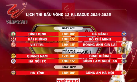 Lịch thi đấu vòng 12 V.League 2024-2025