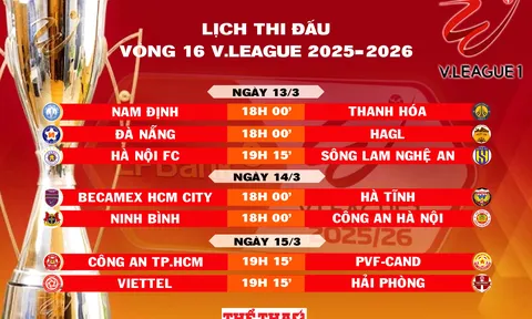 Lịch thi đấu vòng 16 V.League 2025-2026