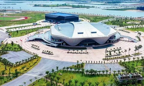 Quảng Ninh mở cửa tự do cho khán giả xem thi đấu môn Bóng chuyền tại SEA Games 31