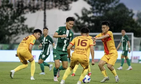 Có bao nhiêu đội Trẻ Thành phố Hồ Chí Minh?