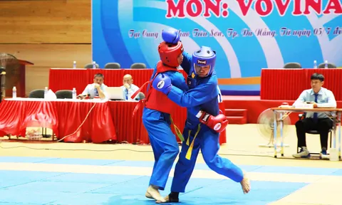 Giải Vovinam tại Đại hội Thể dục thể thao thành phố Đà Nẵng lần thứ X