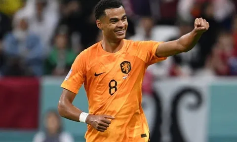 Liverpool nẫng tay trên Cody Gakpo trước Man United