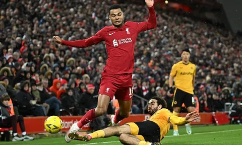 Liverpool - Wolves > 2-2: Trả giá đắt vì sai lầm