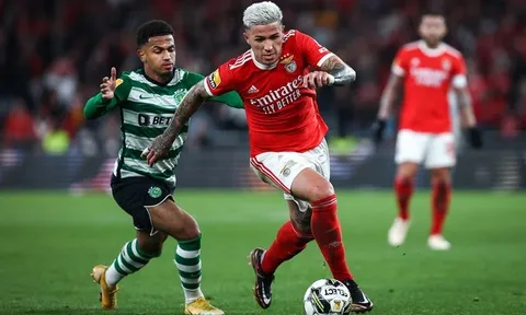 Chelsea chưa từ bỏ thương vụ Enzo Fernandez