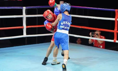 Đón chờ Cúp Câu lạc bộ quyền Anh Kickboxing Ngôi sao Gia Định mở rộng “Mừng Đảng - Mừng Xuân” lần thứ hai - 2024