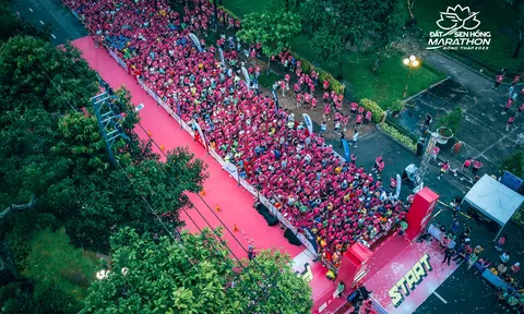 Giải Marathon Đất Sen Hồng Đồng Tháp 2024: Gần 10.000 vận động viên tham gia