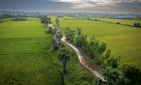 Giải Aikya Cross Country Marathon Trà Vinh 2025: Khám phá cung đường băng đồng tuyệt đẹp hoà quyện cùng văn hoá Khmer độc đáo