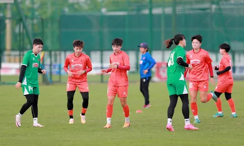 Đội tuyển nữ Việt Nam sang Nhật Bản tập huấn, chuẩn bị cho vòng loại châu Á 2026