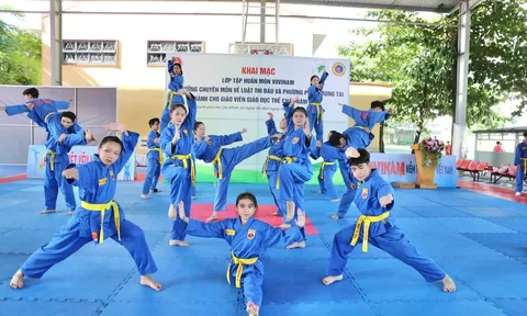 Thành phố Hồ Chí Minh đẩy mạnh phát triển Vovinam học đường
