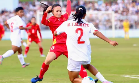 Huấn luyện viên đội tuyển bóng đá Myanmar từ chức