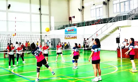 Đại hội Thể dục thể thao xã Vĩnh Bình lần thứ I năm 2026: Hơn 500 vận động viên tranh tài 8 môn thi đấu