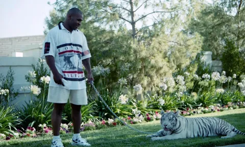 Thèm thịt chó nhà hàng xóm, hổ cưng của Mike Tyson bị bắt