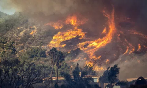 Thảm họa cháy rừng California gây lo ngại cho LA28