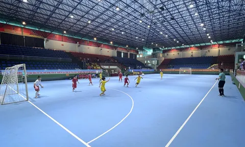 Giải Bóng đá Thiếu niên Nhi đồng tỉnh Quảng Ninh năm 2023