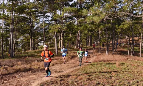 Giải Siêu Marathon Quốc tế Đà Lạt Ultra Trail 2024 