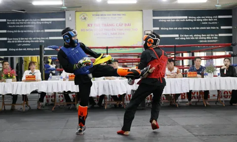 Liên đoàn Võ thuật Phú Thọ tổ chức thi thăng cấp đai