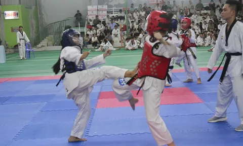 Hơn 280 võ sinh thi thăng đẳng Taekwondo thành phố Cần Thơ lần thứ nhất