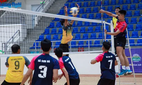 Hơn 100 vận động viên tranh tài Giải vô địch Bóng chuyền nam, nữ tỉnh Quảng Ngãi năm 2025
