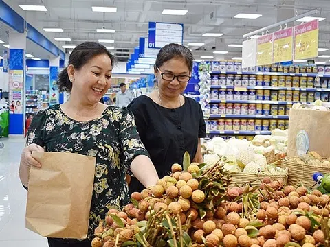 Xây dựng Lối "Sống xanh" góp phần bảo vệ môi trường ở Nam Định