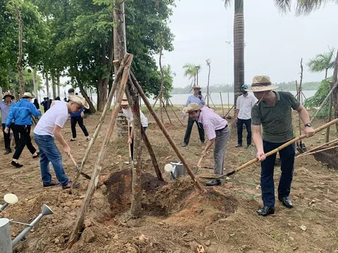Phát động trồng cây xanh “Vì một Huế xanh” năm 2022