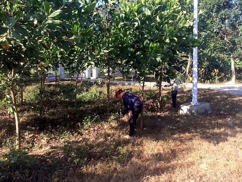 Điện Biên phát triển thủy điện gắn với bảo vệ môi trường 