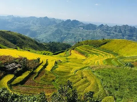 Bảo vệ di sản thiên nhiên