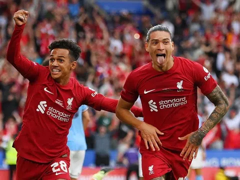 Vòng 9 Premier League > Liverpool - Brighton & Hove Albion (21 giờ ngày 1/10): Khó bắt nạt “Chim mồng biển”