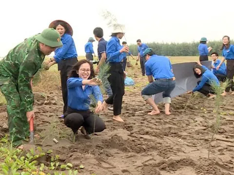 Ninh Bình triển khai trồng Rừng cây thanh niên chắn sóng tại Cồn Nổi, bảo vệ môi trường