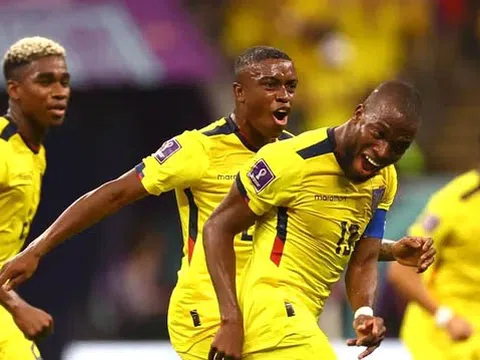 Bảng A > Ecuador - Senegal (22 giờ ngày 29/1): Lấy vé vào vòng 1/8