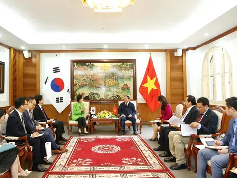 Tăng cường hợp tác chặt chẽ văn hoá, thể thao và du lịch giữa Việt Nam và Hàn Quốc trên cả bình diện song phương và đa phương