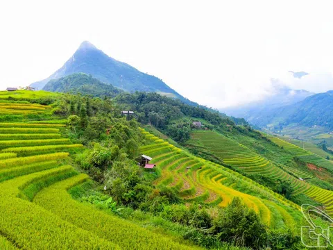 8 cung đường trekking tuyệt đẹp ở Việt Nam theo đề xuất của Lonely Planet