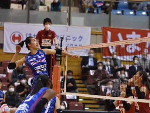 Thanh Thúy xếp thứ 23 trong danh sách những cầu thủ ghi điểm nhiều nhất tại giải Bóng chuyền vô địch quốc gia Nhật Bản