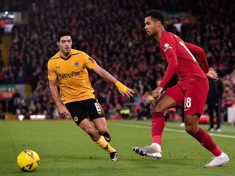 Vòng 22 Premier League > Wolverhampton Wanderers - Liverpool (22 giờ ngày 4/2): Dễ sa lầy ở “hang sói”