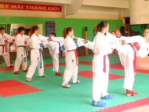 Dấu ấn thể thao thành tích cao Đồng Tháp 