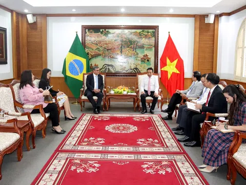 Tăng cường hợp tác văn hoá, thể thao giữa Việt Nam và Brazil