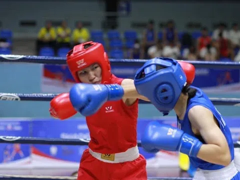 Hơn 500 võ sĩ tranh tài tại giải vô địch Boxing trẻ toàn quốc 2023