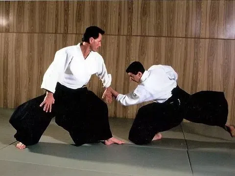 Bạn Nam Khang - ở Thái Nguyên hỏi: Xin cho biết, việc tập luyện môn võ Aikido mang lại lợi ích gì?