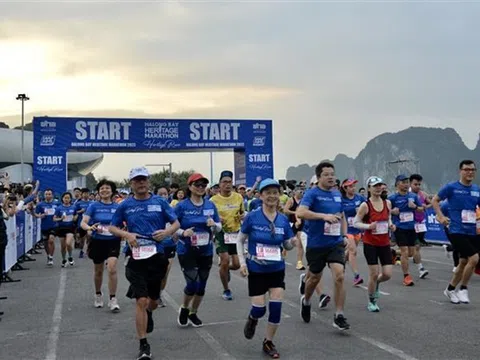 Giải Marathon Quốc tế Di Sản Hạ Long: Thu hút gần 10.000 vận động viên tham dự