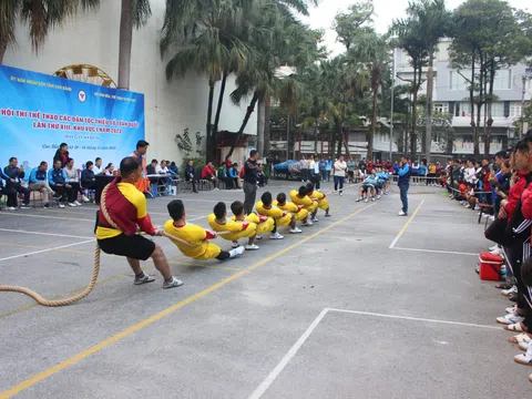 Thái Nguyên nhất toàn đoàn Hội thi Thể thao các dân tộc thiểu số toàn quốc lần thứ XIII, khu vực I