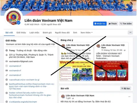 Trang fanpage giả mạo Liên đoàn Vovinam Việt Nam