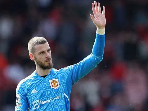 Newcastle được khuyên chiêu mộ thủ môn David De Gea