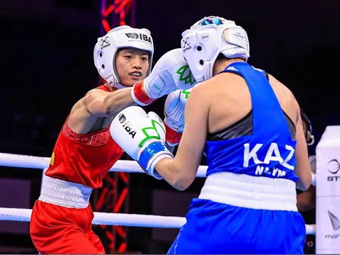 Boxing Việt Nam dự Vòng loại Olympic 2024 với 6 võ sĩ