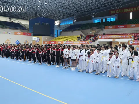 Thể thao Lào Cai phấn đấu giành 90 huy chương trong năm 2024