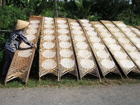 Nghề làm bánh tráng Túy Loan trở thành Di sản văn hóa phi vật thể quốc gia