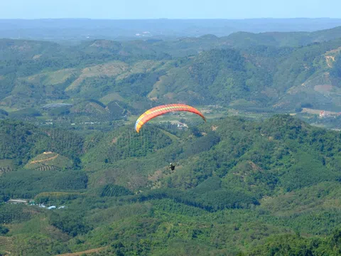 Gần 100 vận động viên tranh tài giải Dù lượn Lâm Đồng mở rộng năm 2024