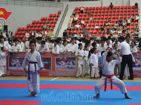 Hà Nam đẩy mạnh phong trào luyện tập môn võ Karatedo