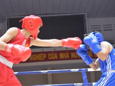 Khởi tranh giải Boxing các đội mạnh quốc gia 2024: Gần 350 vận động viên tham dự